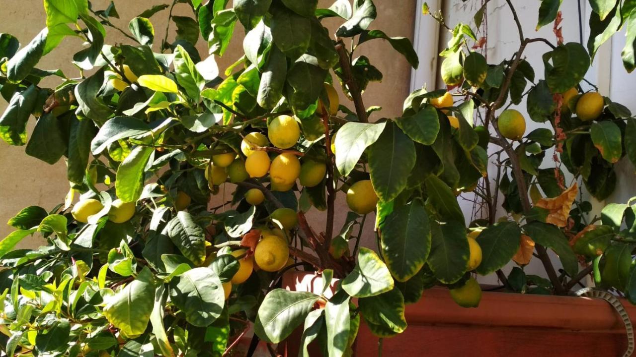La Casa Dei Fiori Apartman Firenze Kültér fotó