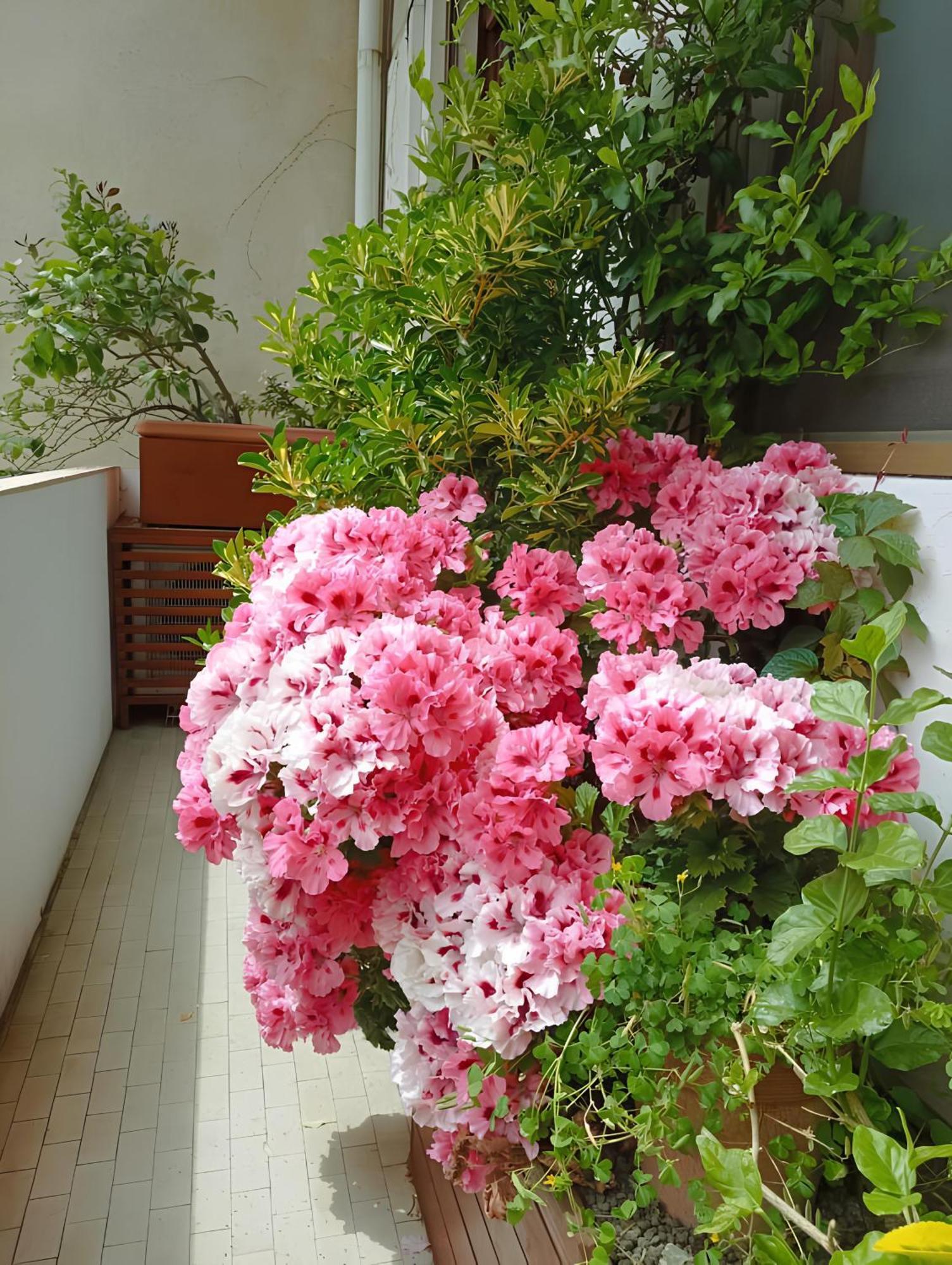 La Casa Dei Fiori Apartman Firenze Kültér fotó